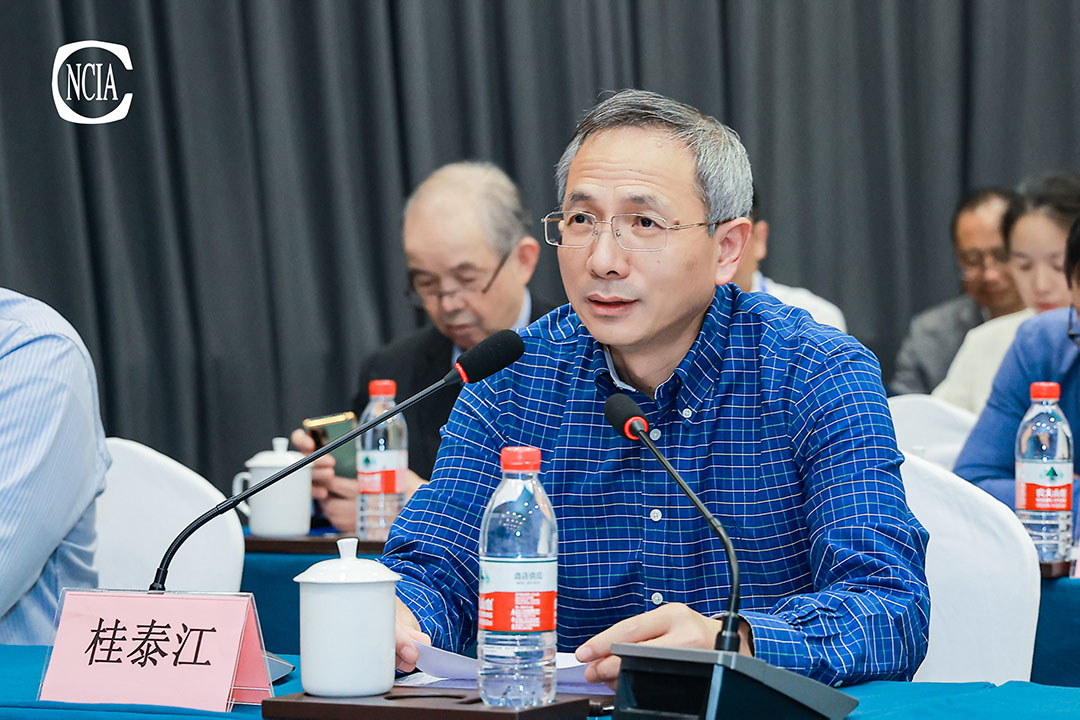 中國(guó)涂料工業(yè)協(xié)會(huì)技術(shù)專(zhuān)家工作委員會(huì)主任桂泰江
